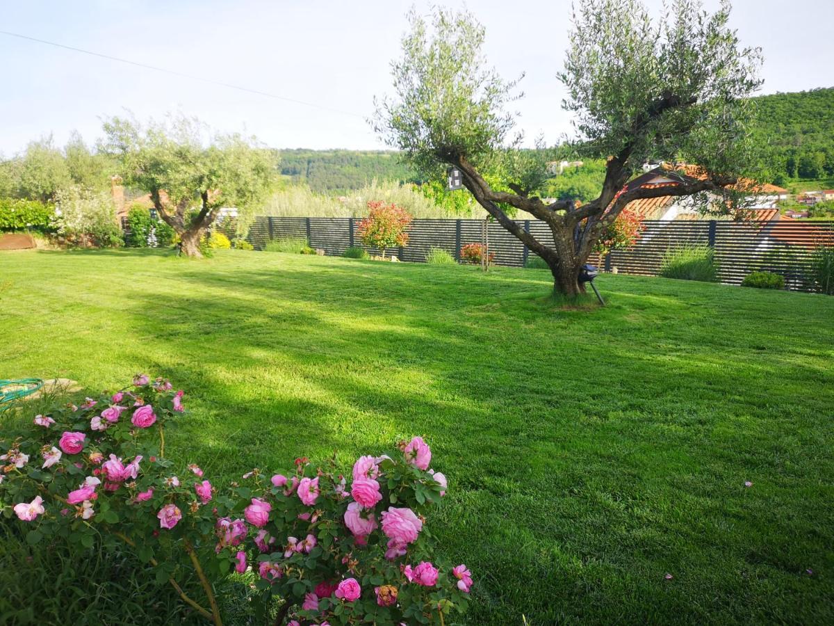 New Istrian Experience By Istrian Apartments Koper Exterior foto